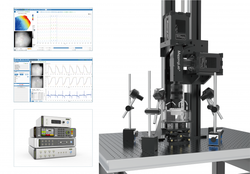 心脏光标测-MappingLab高分辨荧光标测系统Optical Mapping - biospikes